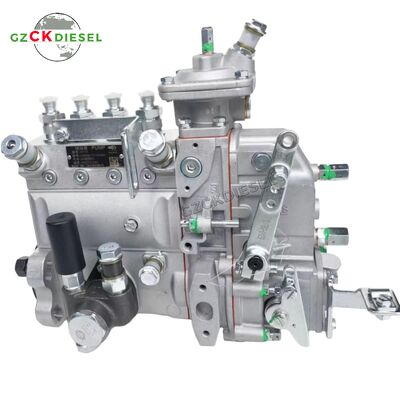 주문 Fuel Injection Pump 1JG410-1111100-493 for YCD4J22T-115 Engine 온라인 제조
