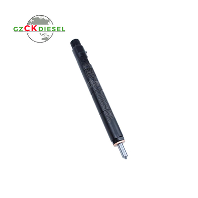 델피 엔진용 디젤 연료 주입기 EJBR04001D 166009384R
