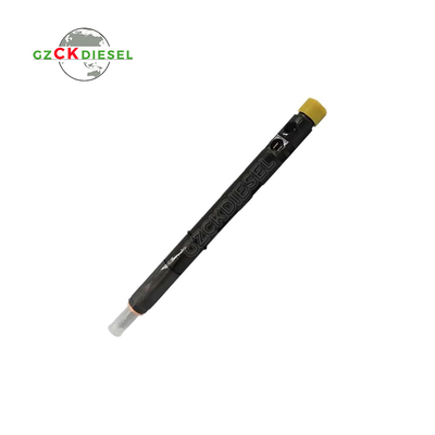 디젤 커먼 레일 연료 인젝터 EJBR05601D 166000897R